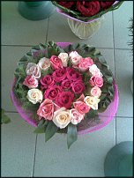 www.floristic.ru - .  