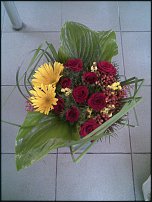 www.floristic.ru - .  