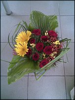 www.floristic.ru - .  