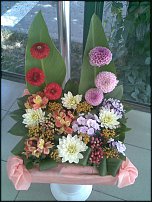 www.floristic.ru - .  