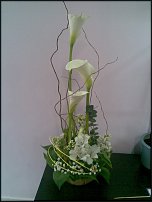 www.floristic.ru - .  