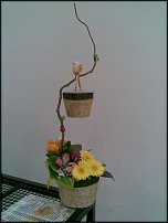 www.floristic.ru - .  