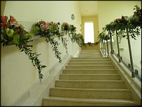 www.floristic.ru - .  .