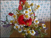 www.floristic.ru - .  