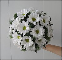 www.floristic.ru - .  .