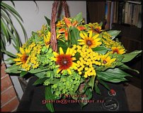 www.floristic.ru - .  