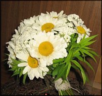 www.floristic.ru - .  