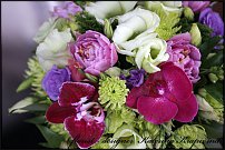 www.floristic.ru - .  .