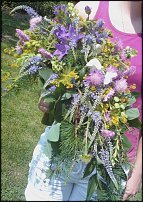 www.floristic.ru - .  