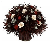 www.floristic.ru - Флористика. Grevillea-Гревиллея