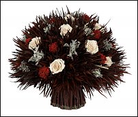 www.floristic.ru - . Grevillea-