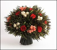 www.floristic.ru - . Grevillea-