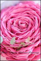 www.floristic.ru - .  .