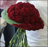 www.floristic.ru - .   ""