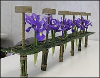 www.floristic.ru - .   ""