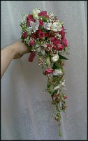 www.floristic.ru - .  