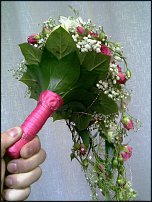 www.floristic.ru - .  