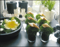 www.floristic.ru - .    