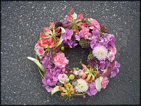 www.floristic.ru - .  