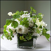 www.floristic.ru - .    