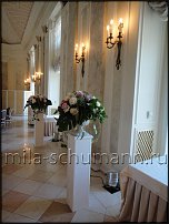 www.floristic.ru - .     ., .  .