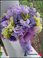 www.floristic.ru - .    