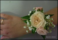 www.floristic.ru - .    