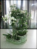 www.floristic.ru - .  !