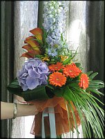 www.floristic.ru - .  !