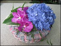 www.floristic.ru - .  !