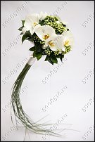 www.floristic.ru - .    