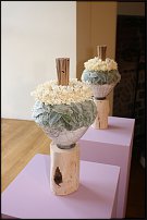 www.floristic.ru - . Landcommanderij Alden Biesen