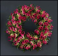 www.floristic.ru - .  