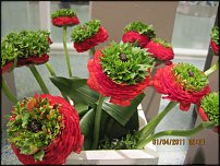 www.floristic.ru - .   - !     .