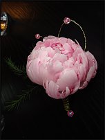 www.floristic.ru - . 