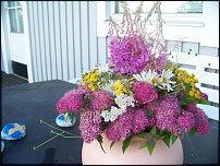 www.floristic.ru - .  