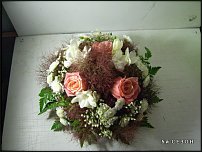 www.floristic.ru - .    !!!