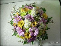 www.floristic.ru - .    !!!