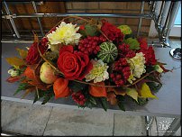 www.floristic.ru - .  