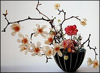 www.floristic.ru - .   