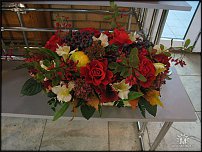 www.floristic.ru - .  