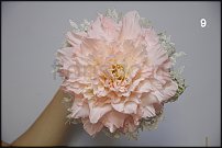 www.floristic.ru - Флористика. Июнь-Июль  - 2011 - Гламелия