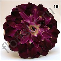 www.floristic.ru - . -  - 2011 - 