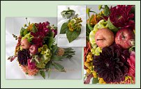 www.floristic.ru - . !!!!!