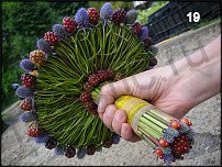 www.floristic.ru - . -  - 2011 - 