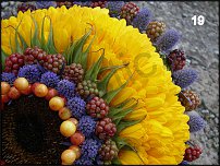 www.floristic.ru - . -  - 2011 - 