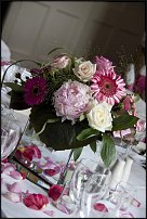 www.floristic.ru - .  .