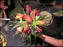 www.floristic.ru - . Pim van den Akker