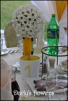 www.floristic.ru - .  .