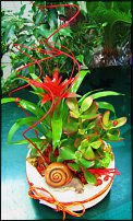 www.floristic.ru - . .   
